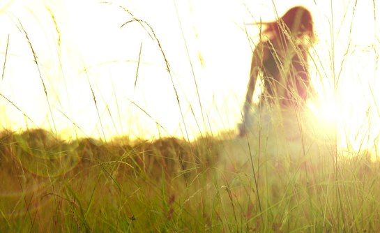 i-would-say-that-life-understood-is-life-lived i-would-say-that-life-understood-is-life-lived