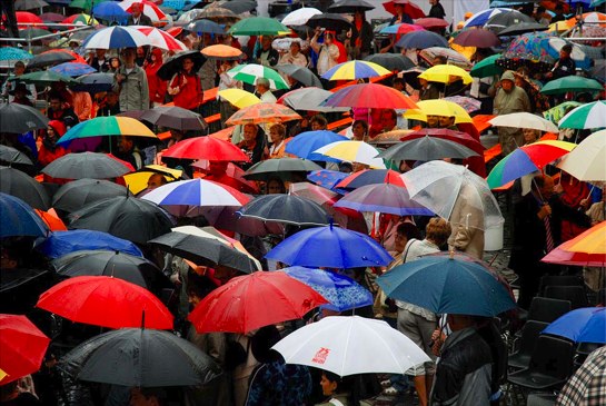 umbrellas