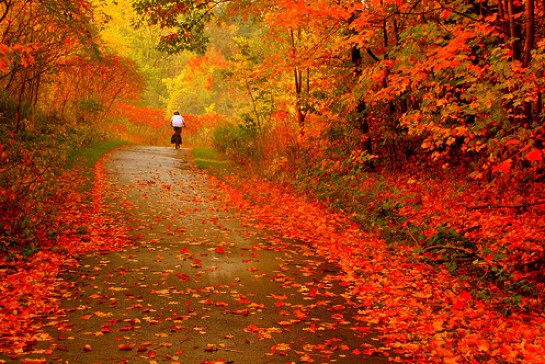 autumn ride