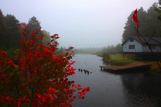 fog