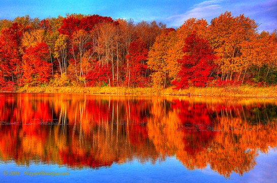 reflection