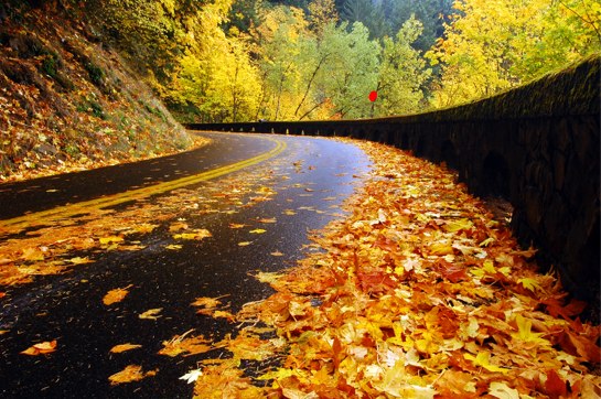 road