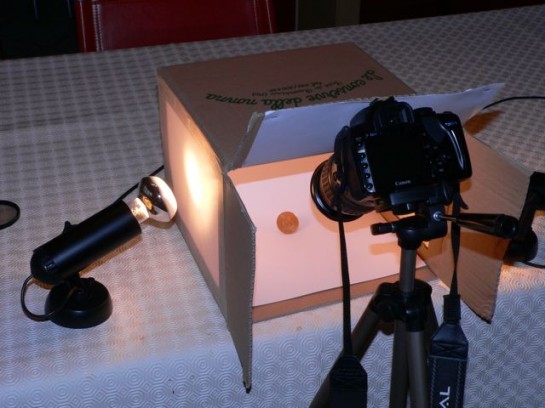 macro_studio