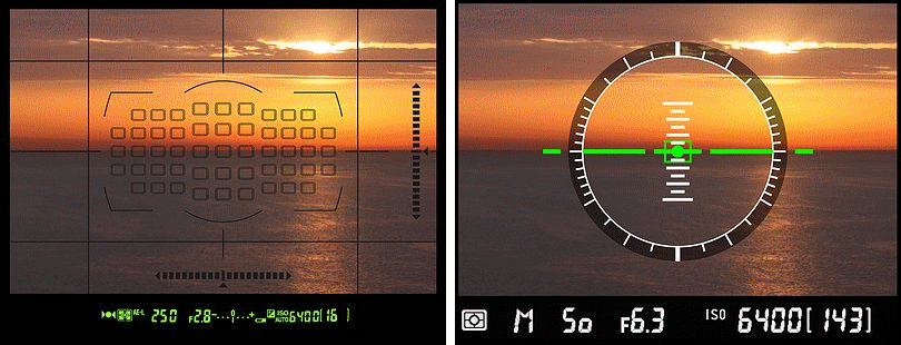 Nikon D800 : viseur à gauche et horizon en Live View à droite