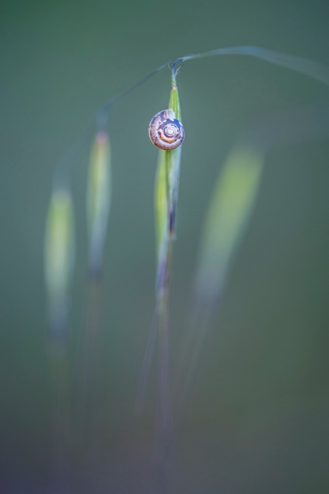La spirale - © Denis Dubesset