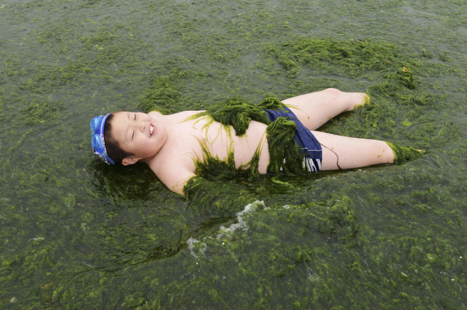 A boy plays on an algae-covered seaside in Qingdao, Shandong province, June 22, 2013. Picture taken June 22, 2013. REUTERS/China Daily (CHINA - Tags: ENVIRONMENT SOCIETY) CHINA OUT. NO COMMERCIAL OR EDITORIAL SALES IN CHINA - RTX1112V