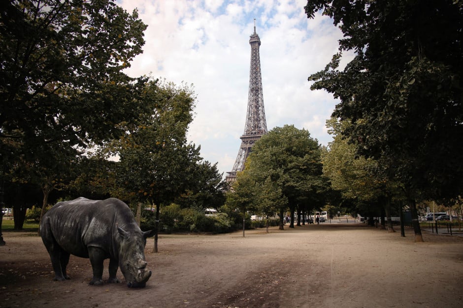 Paris-Zoo_5
