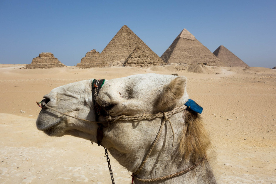 Les Pyramides de Gizeh - © Damien Roué