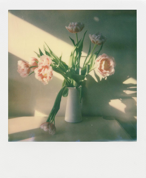 Impossible Project I-1_8
