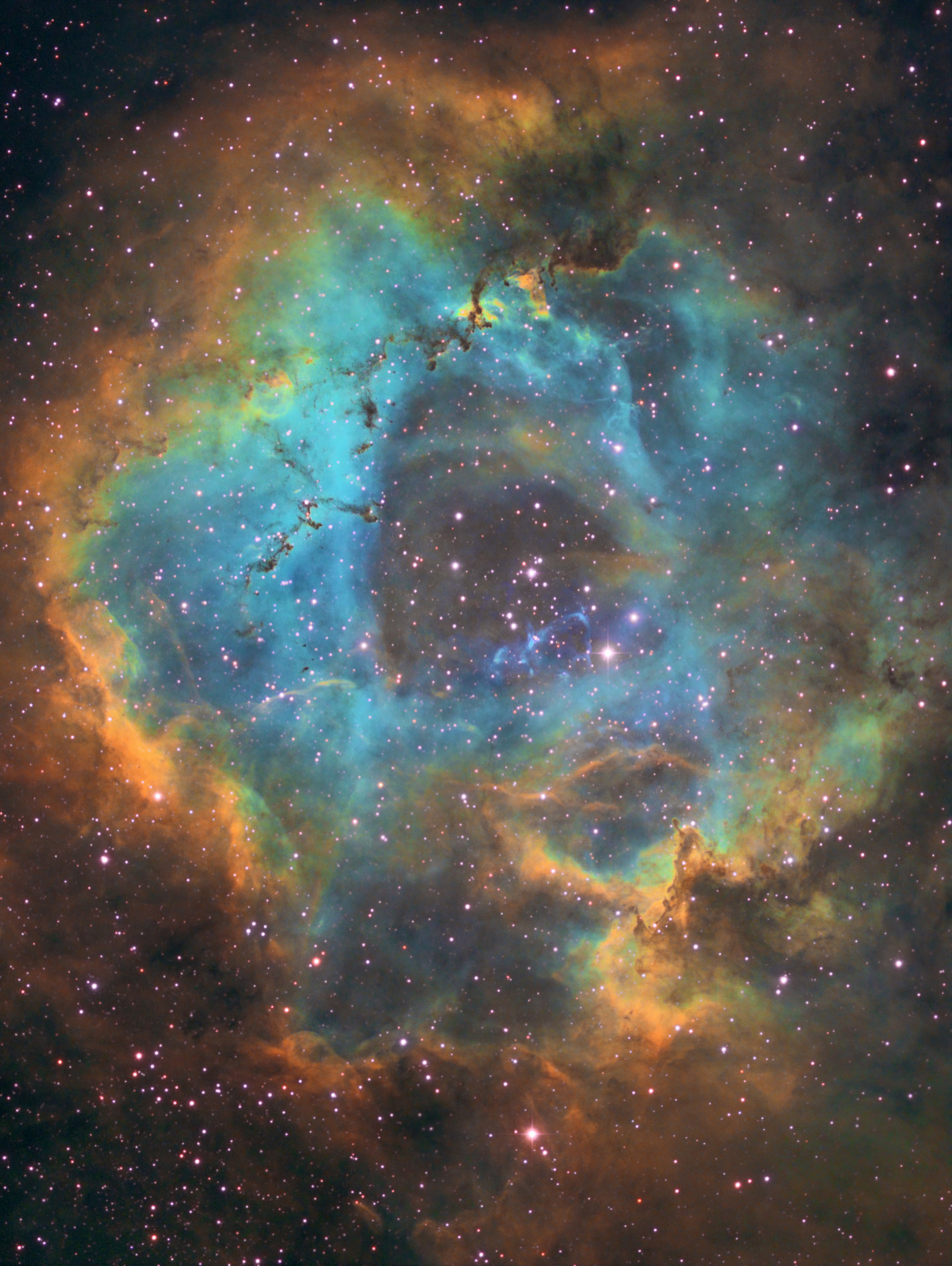 NGC 2244, la nébuleuse de la Rosette