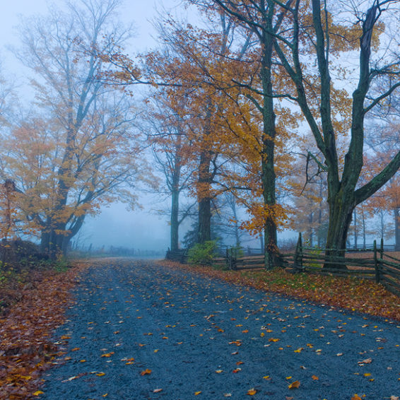 À la chasse du mauvais temps | Brume