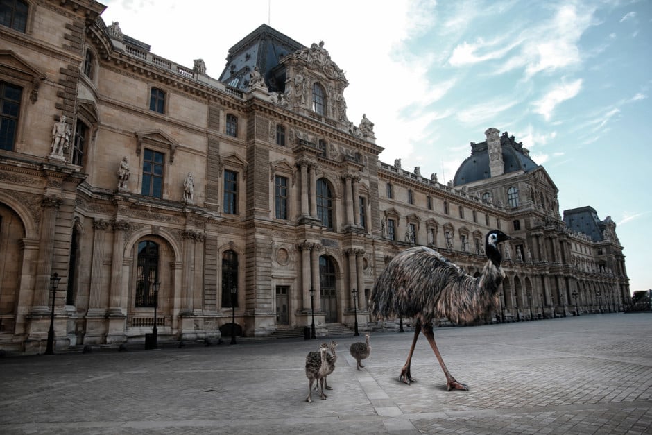 Paris-Zoo_3