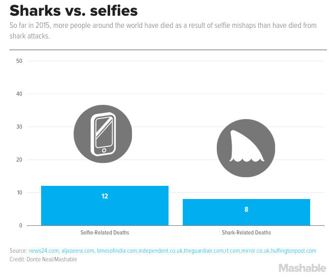 Selfie vs Requins