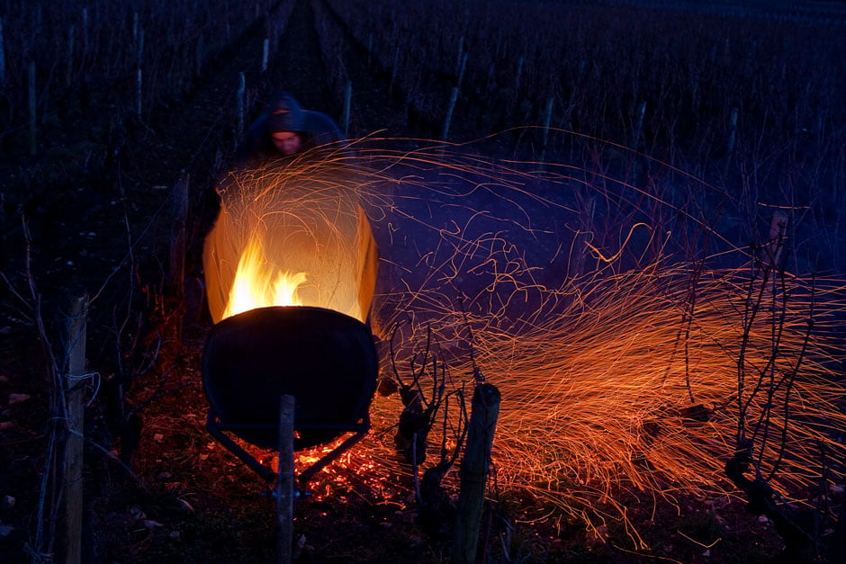 Taille, à Chassagne-montrachet par Didier Larue, Domaine Larue, à Saint-Aubin, à la tombée de la nuit. - © Thierry Gaudillère