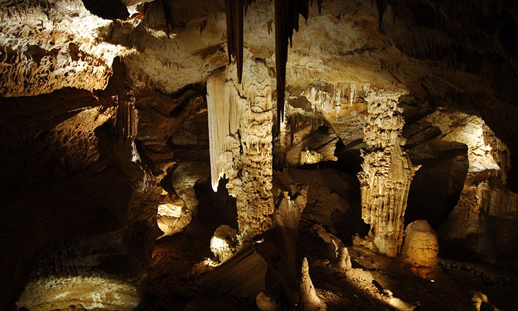 © L'Aven d'Orgnac - Grotte et cité préhistorique