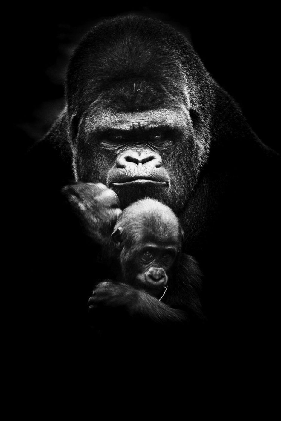 © Frank Belloeil - "Father and Son"