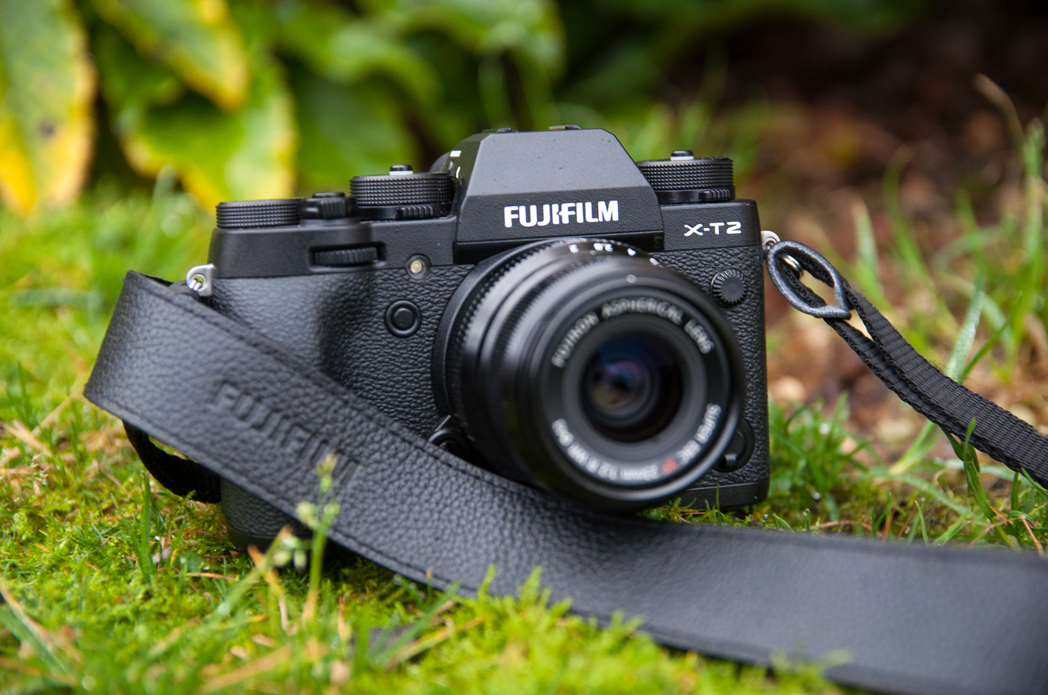 Fujifilm x100f примеры фото