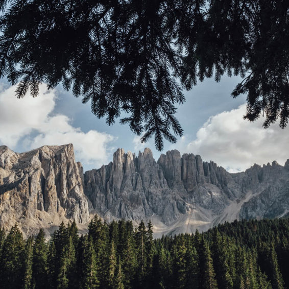 Church In The Wild Guillaume Flandre
