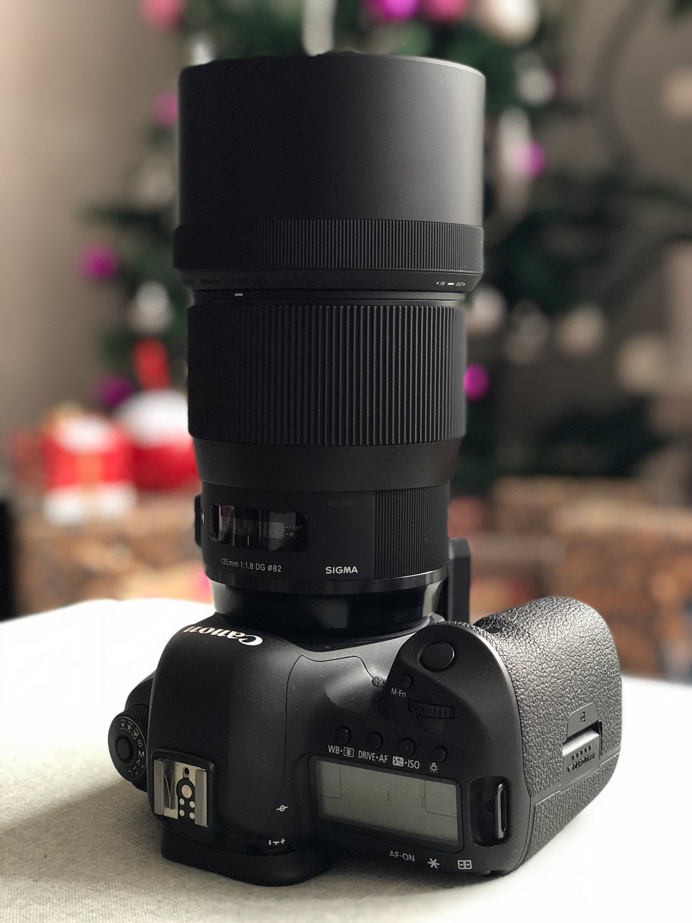 Test du Sigma 135mm f/1.8 DG HSM ART, l'optique élitiste des portraitistes