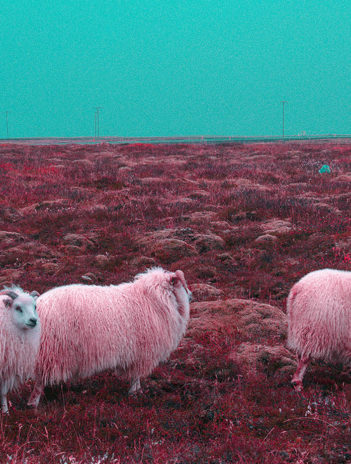 Dreamscape of Iceland © Alejandro Medrano Fernández