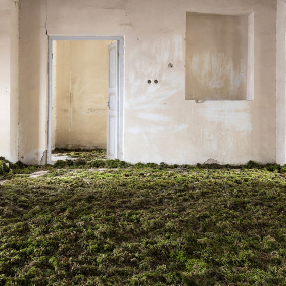 Home © Gohar Dashti