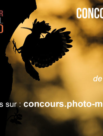 Festival Montier Photo