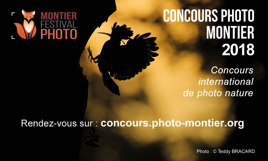 Participer au concours photo du Festival Photo Montier, édition 2018