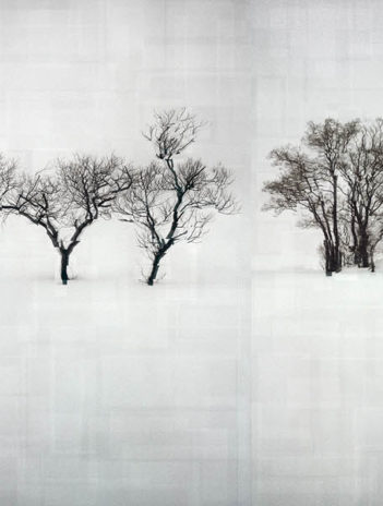 Sony World Photography Awards