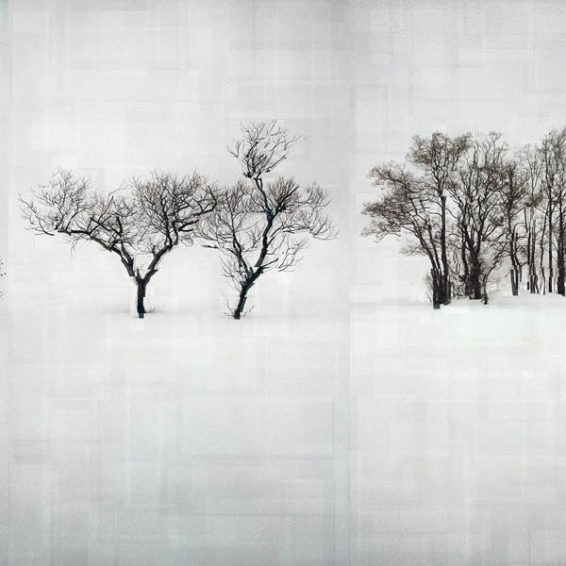 Sony World Photography Awards