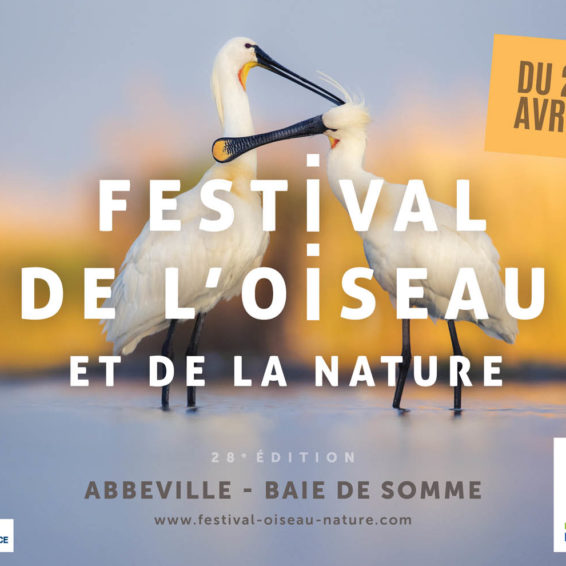 Festival de l'Oiseau et de la Nature