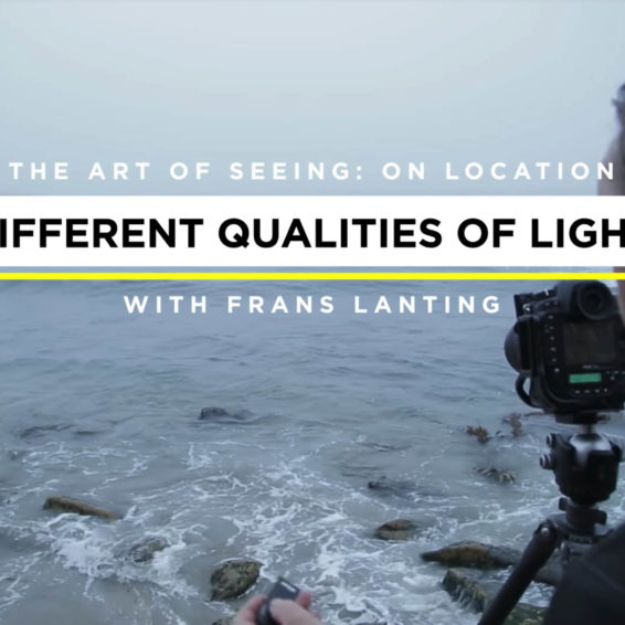 Frans Lanting