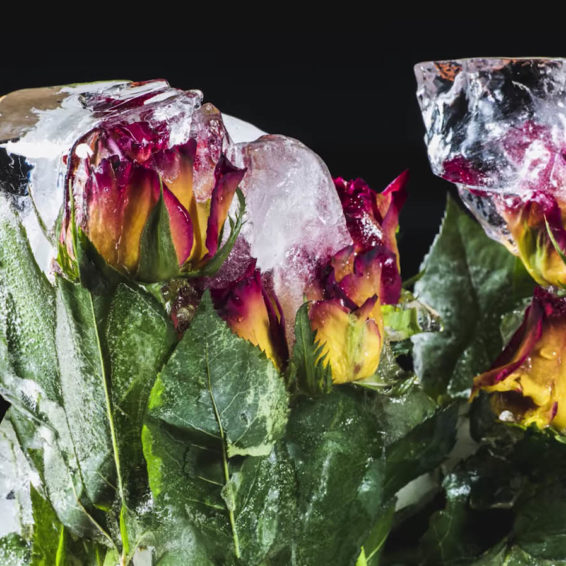 5 stunning photo tips on how to shoot water