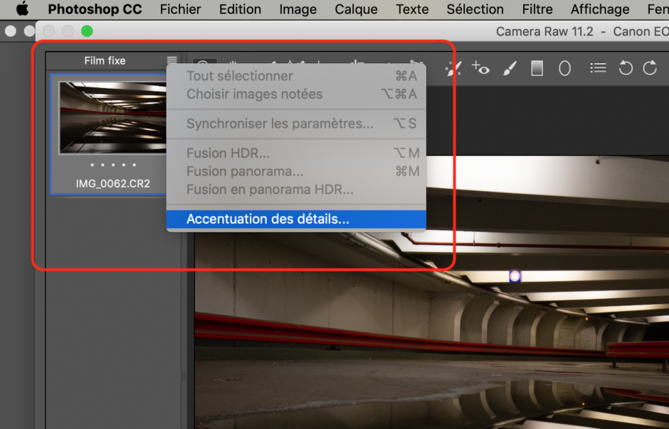 Capture Camera Raw 11.2 Accentuation Des Détails