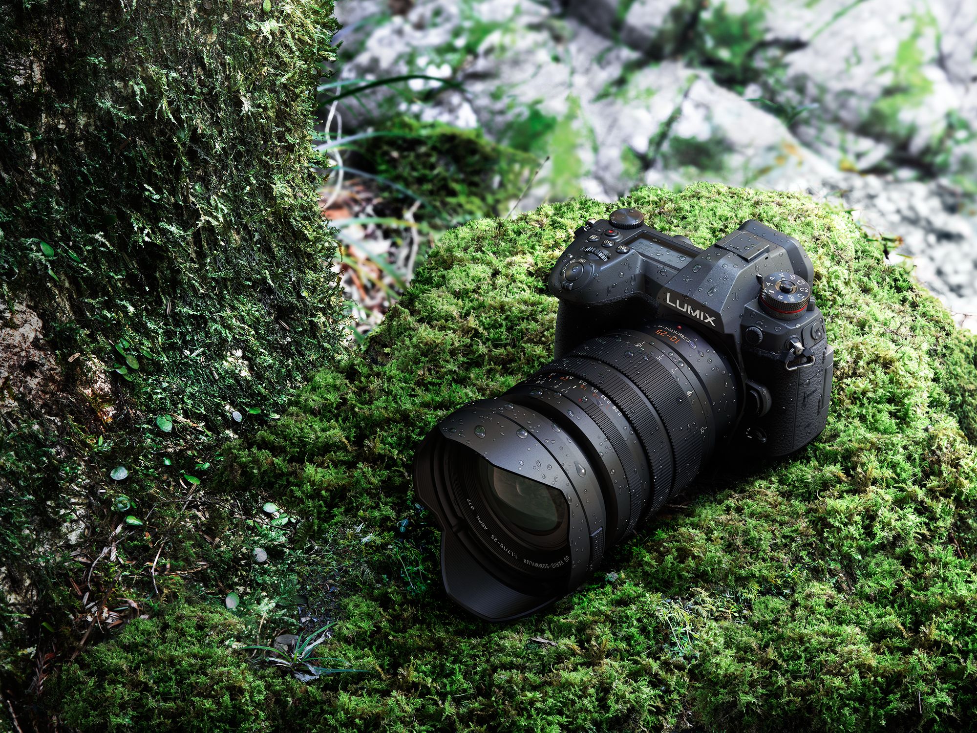 Prophotos. Gh5 + Leica 25mm 1.4. Panasonic Leica 10-25 f/1.7 DG. Самые редкие объективы.