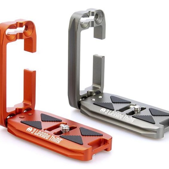 Ellie Gallery 10 3 2