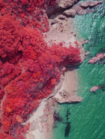 Infrared Mavic 2 Pro