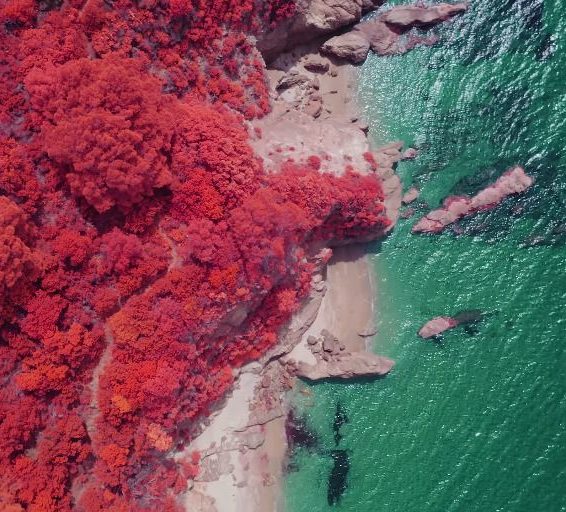 Infrared Mavic 2 Pro
