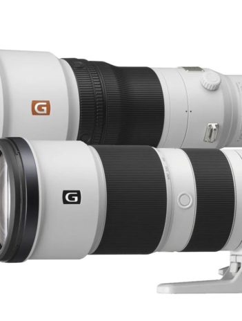 Sony FE 200-600 mm F5.6-6.3 G OSS et FE 600 MM F4 GM OSS Header