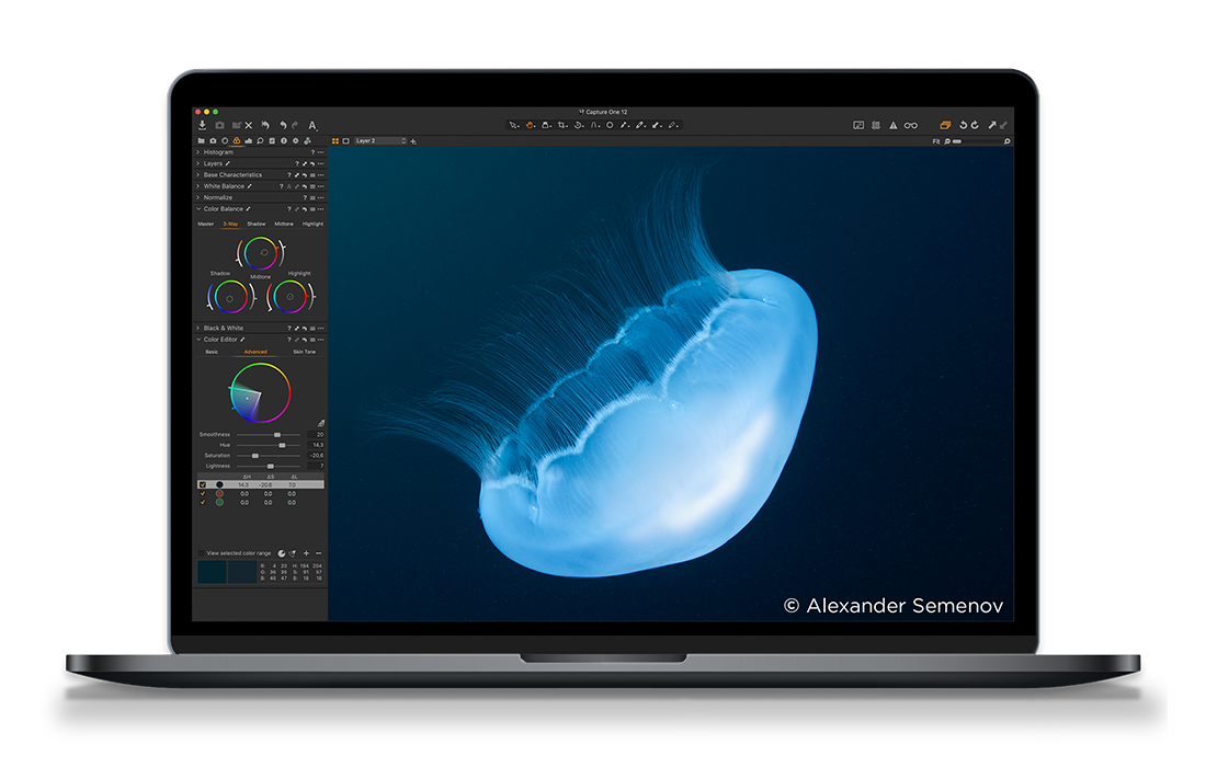 Capture One Pro 20 : interface améliorée, gestion des couleurs ...