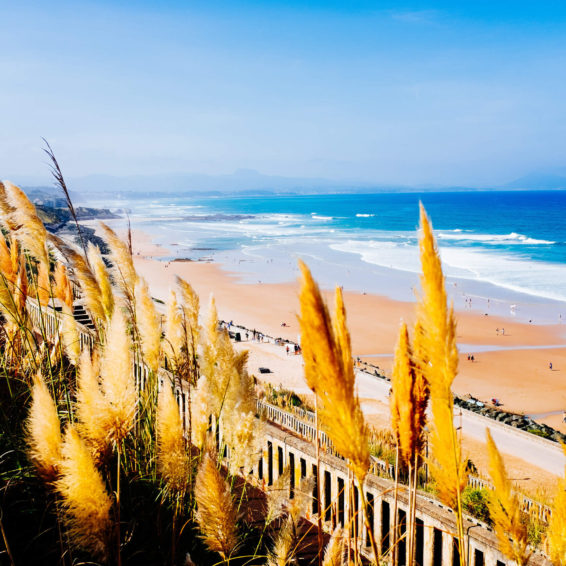 Exposition "La Palette de Photographe"