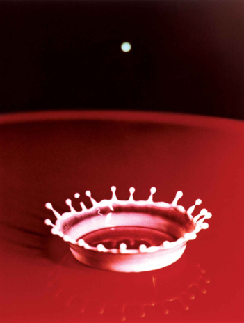Harold Edgerton Milk Drop Coronet