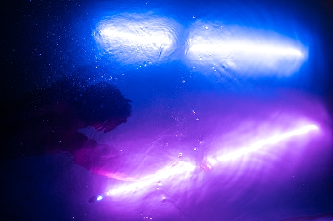 Tube Lumineux de 192 LED Bleues - 8m 8 Fonctions 