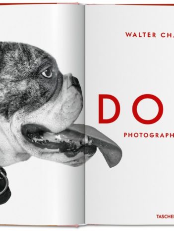 Dogs Walter Chandoha