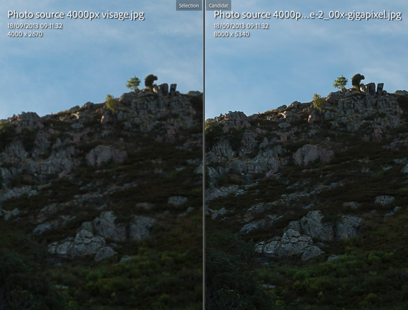 pixelmator pro vs ai gigapixel