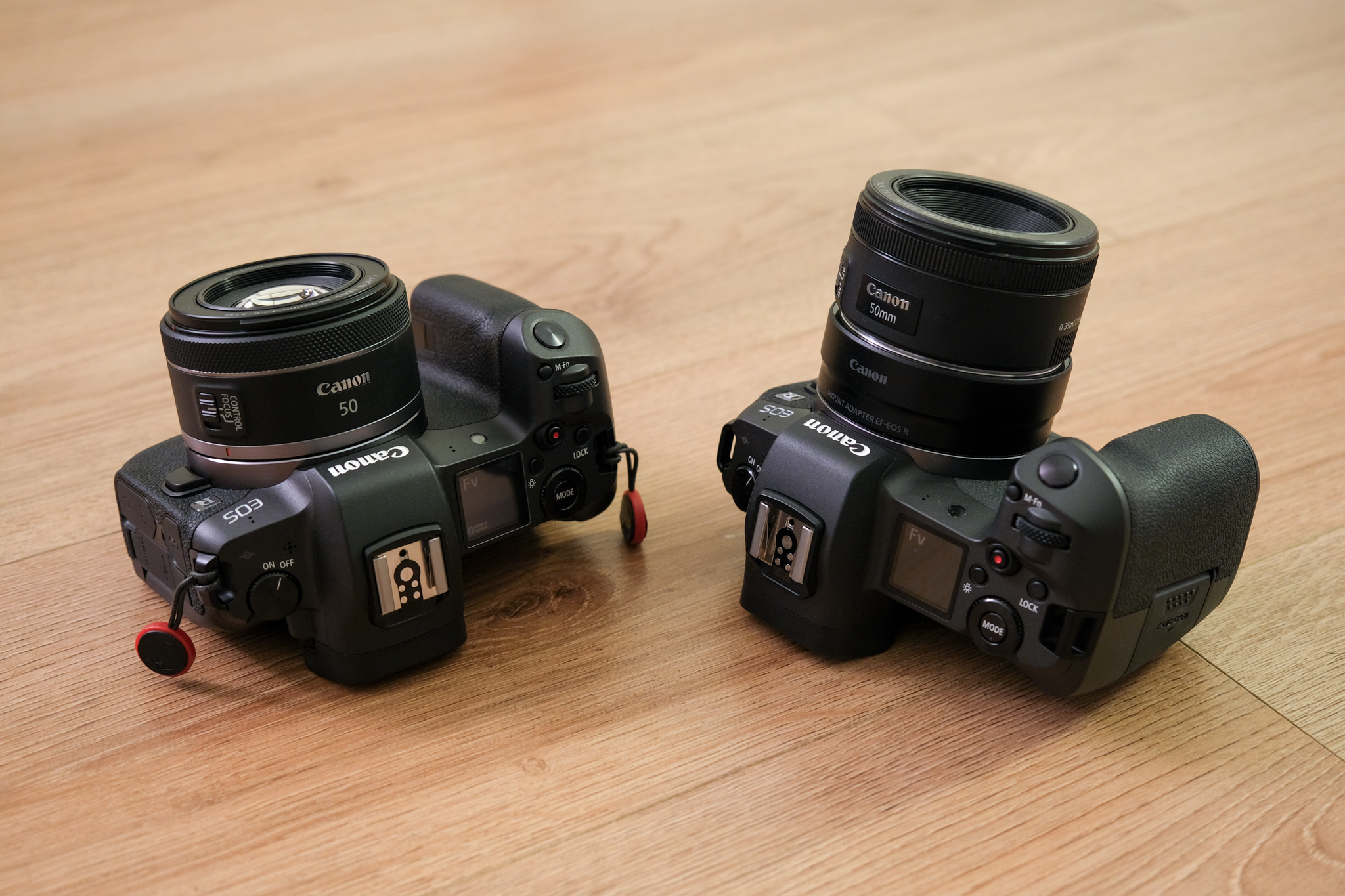 Test du Canon RF 50 mm f/1,8 STM l’entrée de gamme revisitée