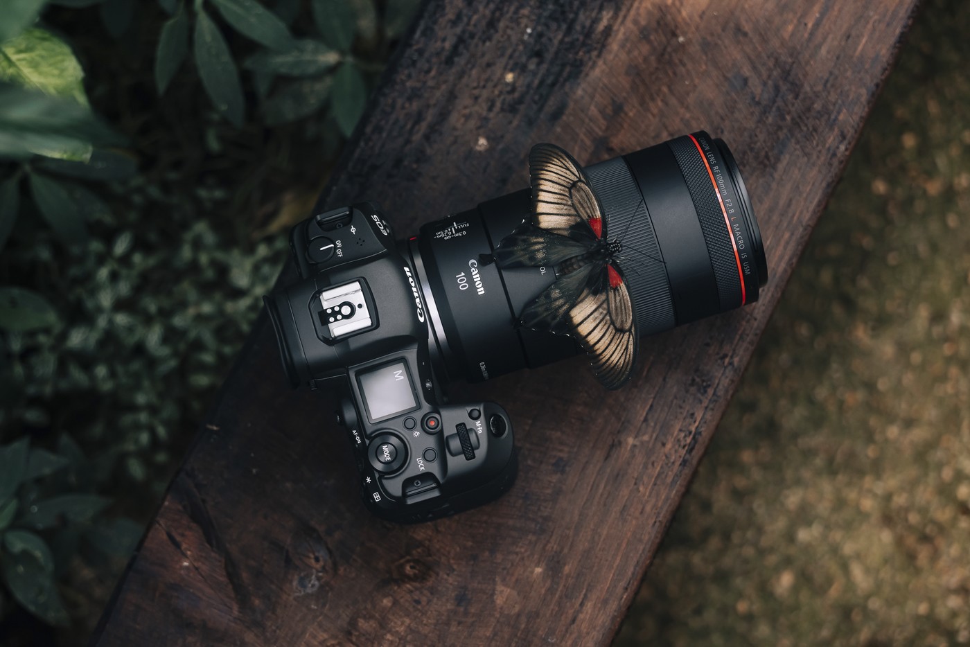 Canon RF 100 mm f/2,8 L macro IS USM comme une petite révolution