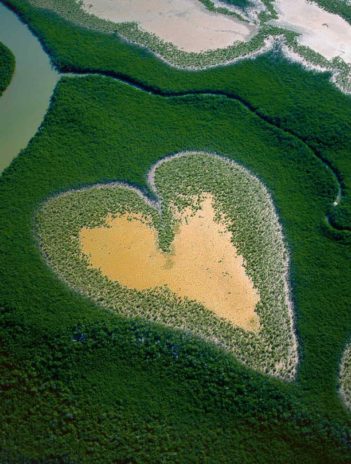 Le dessous des images Cœur de Voh la Terre vue du ciel Yann Arthus Bertrand