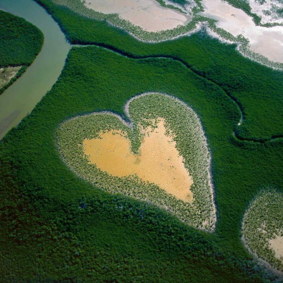 Le dessous des images Cœur de Voh la Terre vue du ciel Yann Arthus Bertrand