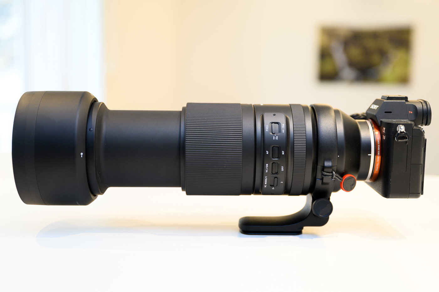 Test Tamron 150500 mm f/56,7 Di III VC VXD les longues focales à