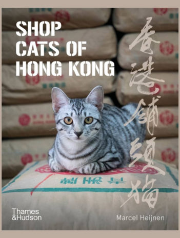 Shop Cats of Hong Kong
